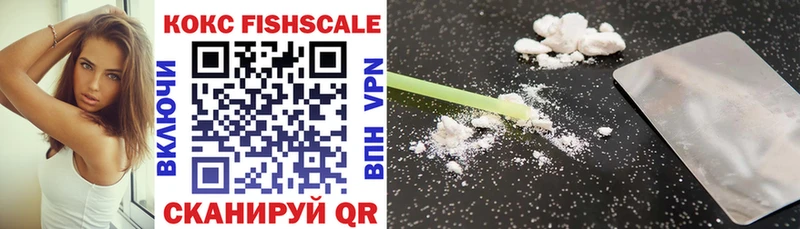 Купить закладки  Новоульяновск  Cocaine FishScale 