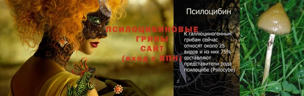 марки nbome Заволжье