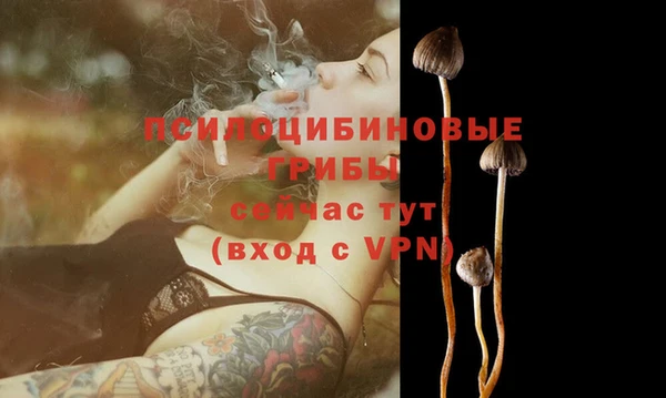 трава Заводоуковск
