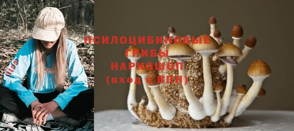 мескалин Заволжск