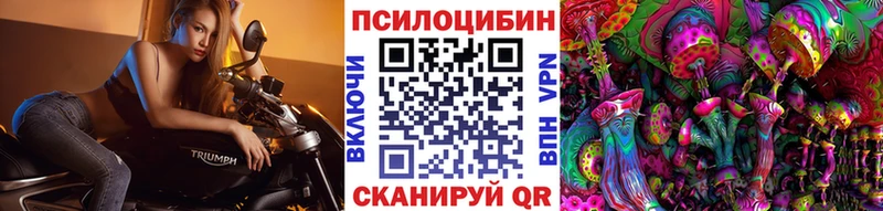 Купить где  Новоульяновск  Псилоцибиновые грибы Magic Shrooms 